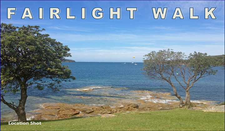 Northern Beaches, Real Estate, Shane Spence, For, Lease, Rent, Sale, Best, Agent, Fairlight,