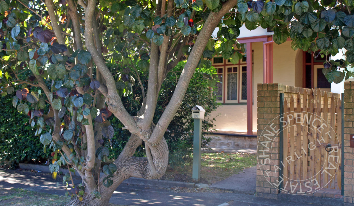 Shane Spence real estate agent Fairlight Manly auction
