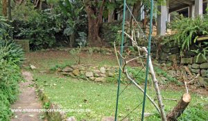 Balgowlah Semi Auction Real Estate