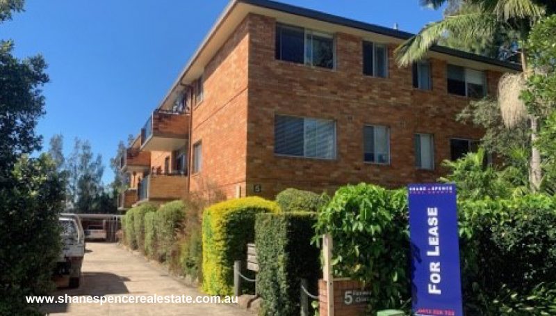 Manly Vale Unit For Lease real estate