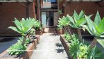Mosman Unit For Lease from Shane Spence Real Estate