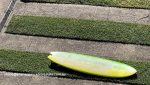 Shane Spence Real Estate Manly Surf